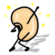 Phrase of Bean