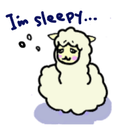 Very cute Alpaca