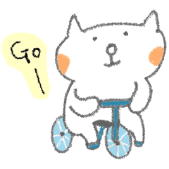 A cat ride a bike