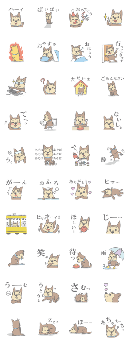 "Koro", the super dog!