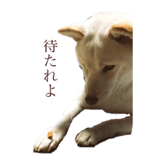 Hikari_20200214221524