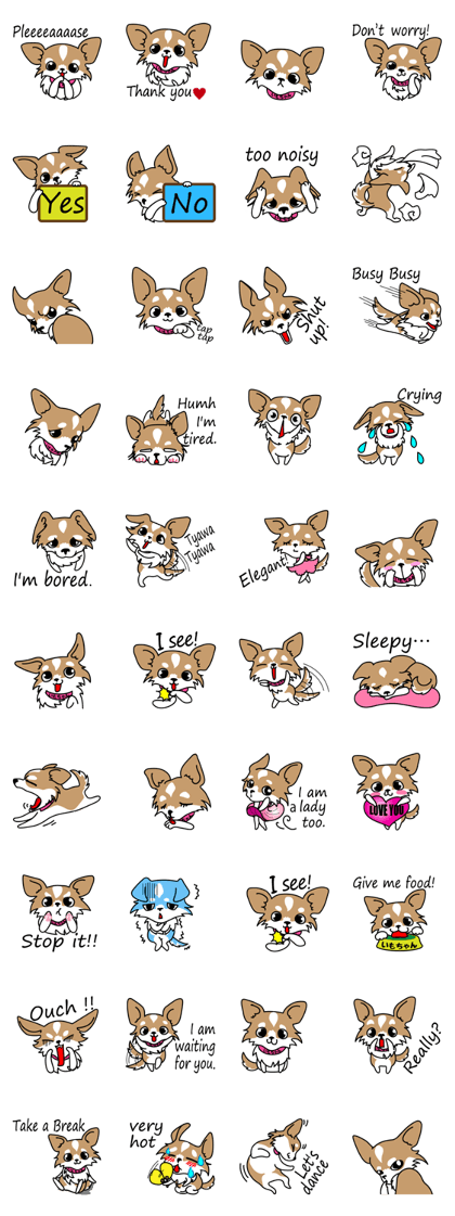 Cute but Lazy dog "imochan"