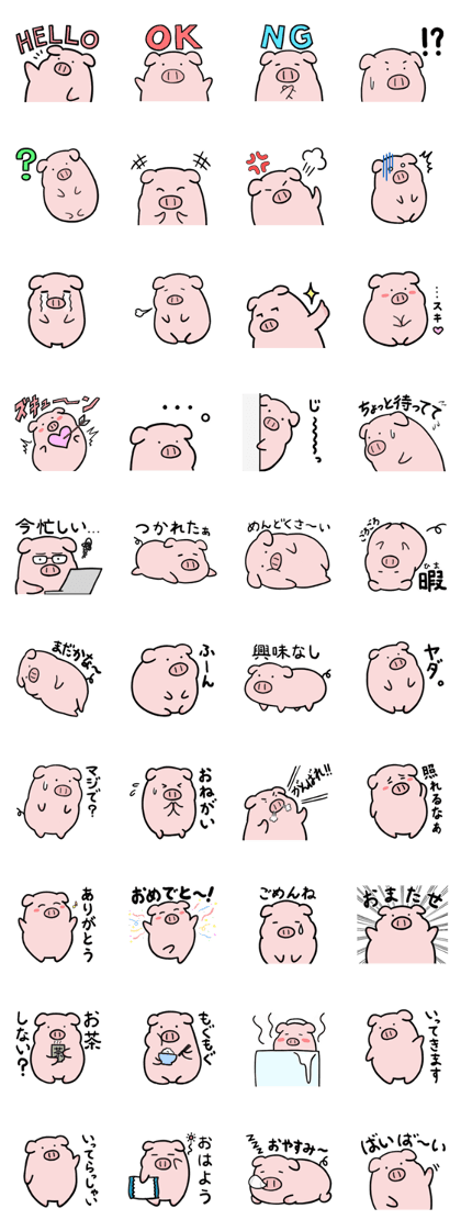 leisurely pig