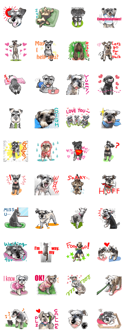 Miniature Schnauzer English ver.