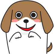Beagle Ms.B