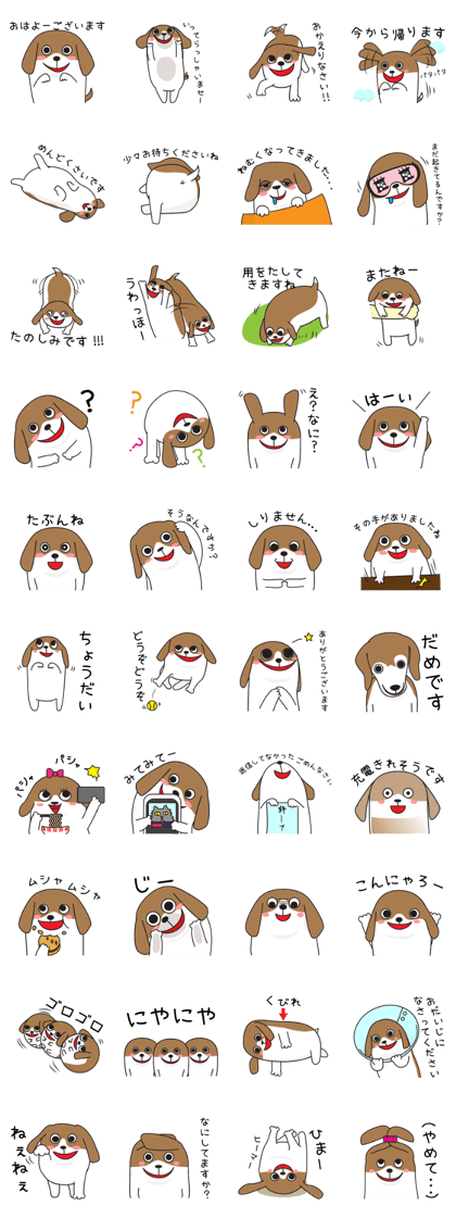 Beagle Ms.B