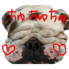 KURUMI_20200214233108