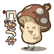 Kinopoco