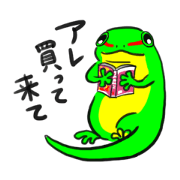 Daily Phelsuma
