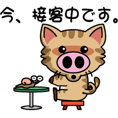 Cat of a pig business version