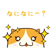 honoboho hamster