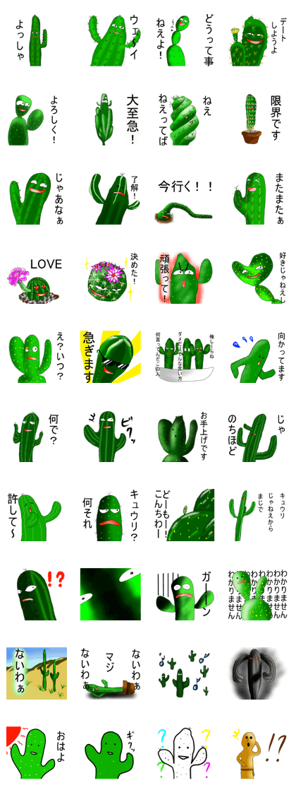 Life of Mr.cactus
