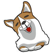 Various Images of Corgi