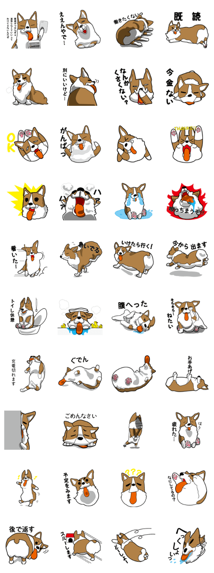 Various Images of Corgi