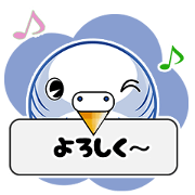 colorful budgie