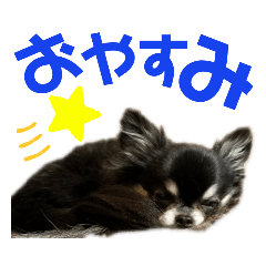 rina_20200215170235