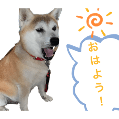 riko_20200214230051763