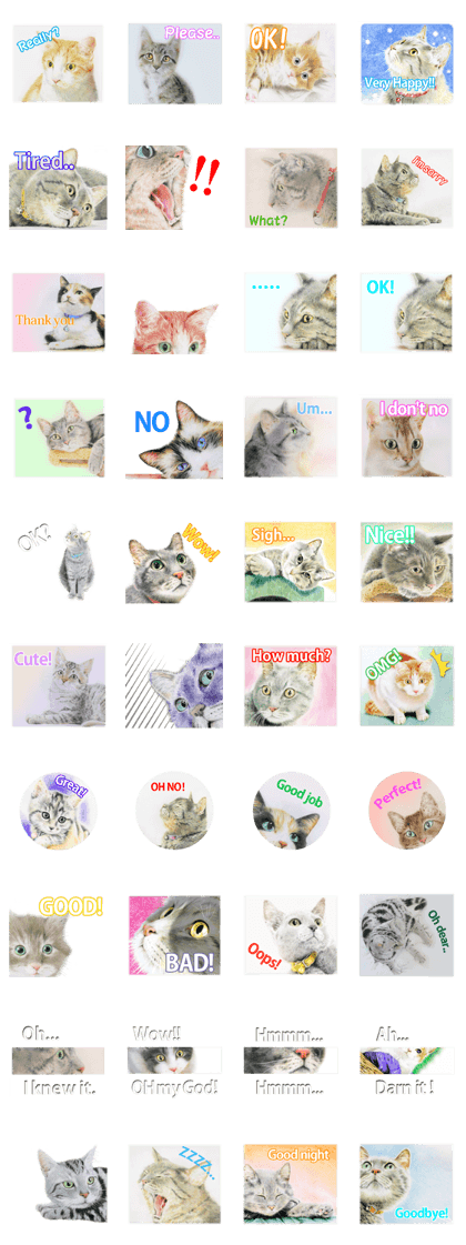 Colored pencil Cat sticker