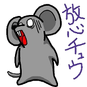 Of cute rat chuta