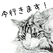 Cats & Dogs 2 with Words