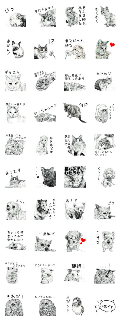 Cats & Dogs 2 with Words