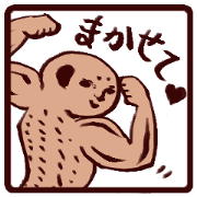 muscle