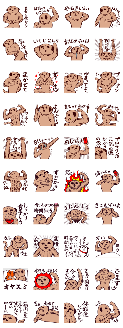 muscle