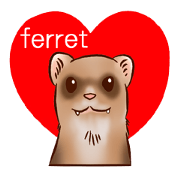 Ferret Sticker jp