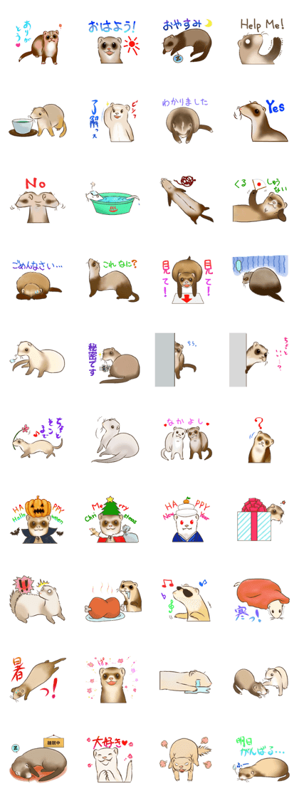 Ferret Sticker jp