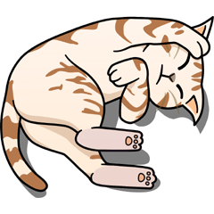 Manma cat (American Short, Cameo tabby)
