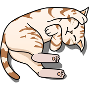 Manma cat (Amrcian Short, Cameo tabby)