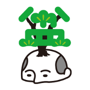 bonjin