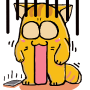 Vivi cat