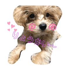 yukari_20200215203624