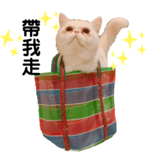 顏值爆表的加菲2