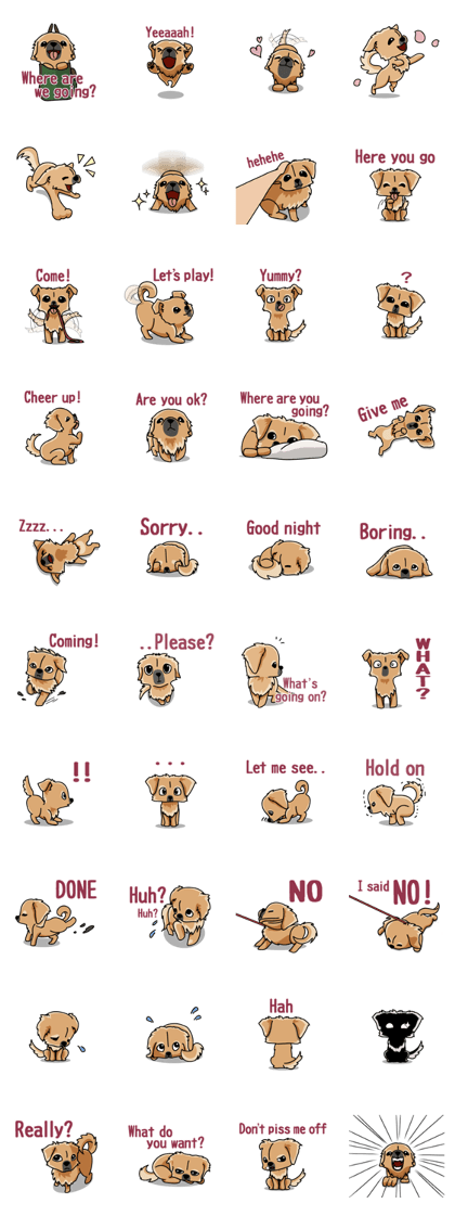 Gestures of dog (English version)