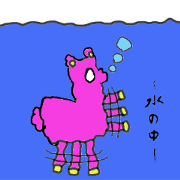 alpacamomo