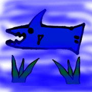No Sense Aquarium