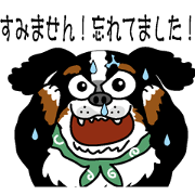 Bernese Mountain Dog business version