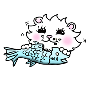 Maru the White Cat