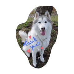 NOZOMI_20200216004232