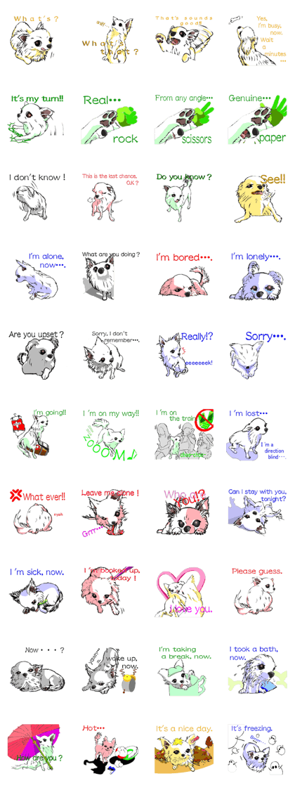 Chihuahua speaks for you.