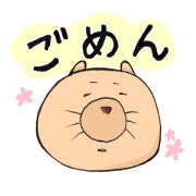 late wombat