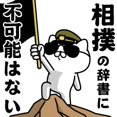 "SUMO"name/Military cat