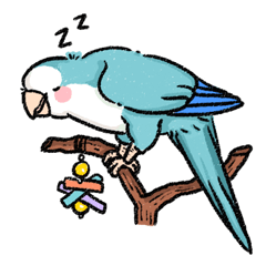 Tobao 和尚鸚鵡 ( 藍色 )
