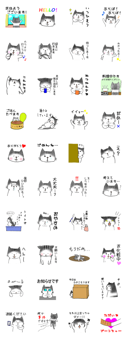 HINE of a cat