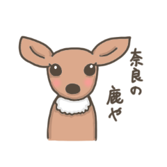 Funny deer in Nara