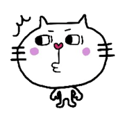 Fun cat's
