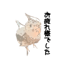 オカメインコのムーンとノン Lineクリエイターズスタンプ Stamplist