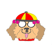 Poodle uncle